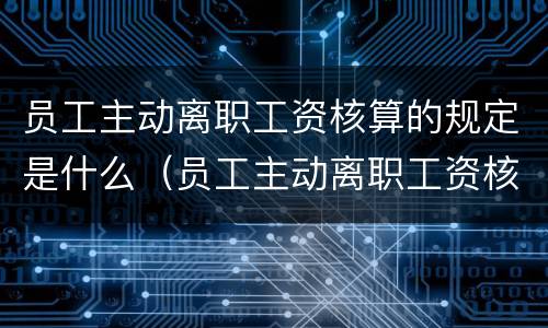 员工主动离职工资核算的规定是什么（员工主动离职工资核算的规定是什么意思）