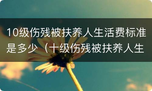 10级伤残被扶养人生活费标准是多少（十级伤残被扶养人生活费是多少）