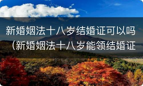 新婚姻法十八岁结婚证可以吗（新婚姻法十八岁能领结婚证吗）