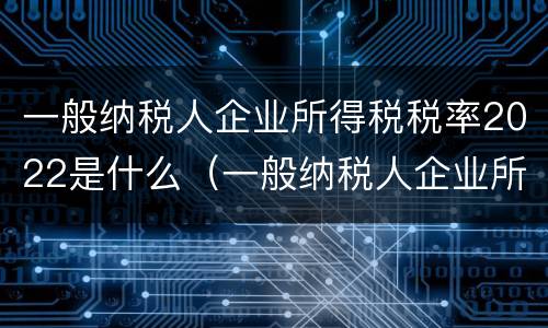 一般纳税人企业所得税税率2022是什么（一般纳税人企业所得税税率2022是什么意思）