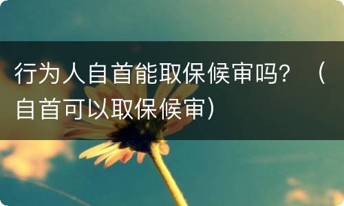 行为人自首能取保候审吗？（自首可以取保候审）