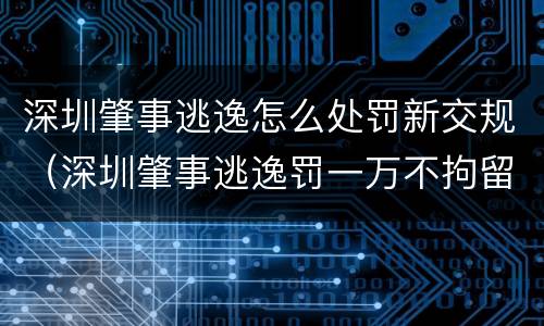 深圳肇事逃逸怎么处罚新交规（深圳肇事逃逸罚一万不拘留）