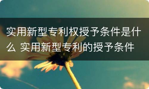 实用新型专利权授予条件是什么 实用新型专利的授予条件