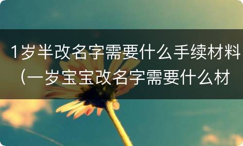 1岁半改名字需要什么手续材料（一岁宝宝改名字需要什么材料）