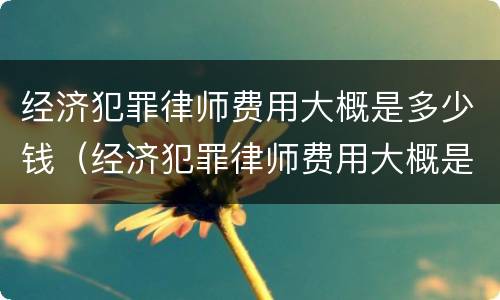 经济犯罪律师费用大概是多少钱（经济犯罪律师费用大概是多少钱啊）