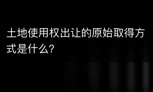 土地使用权出让的原始取得方式是什么？