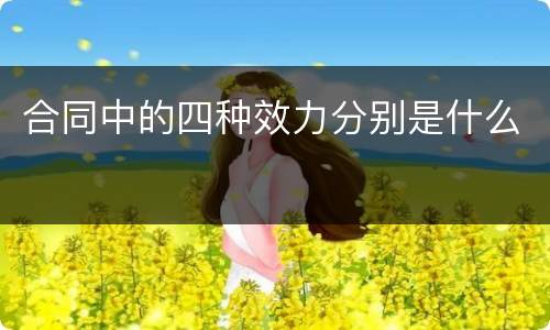 合同中的四种效力分别是什么