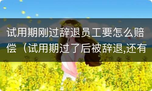 试用期刚过辞退员工要怎么赔偿（试用期过了后被辞退,还有工资吗?）