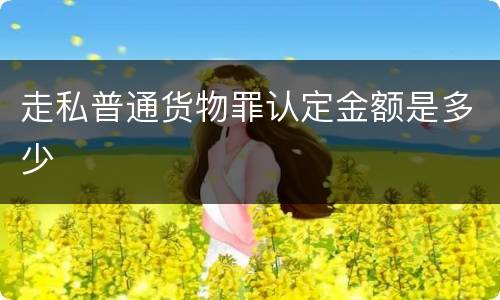 走私普通货物罪认定金额是多少