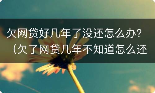 欠网贷好几年了没还怎么办？（欠了网贷几年不知道怎么还）