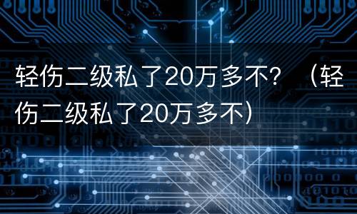 轻伤二级私了20万多不？（轻伤二级私了20万多不）