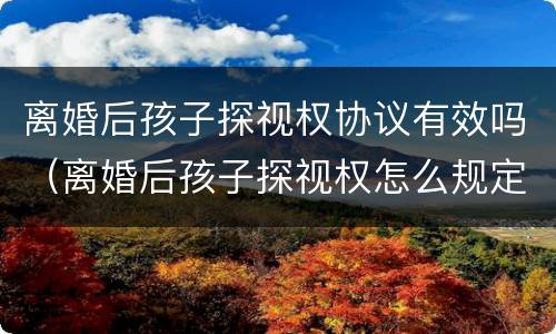 离婚后孩子探视权协议有效吗（离婚后孩子探视权怎么规定）