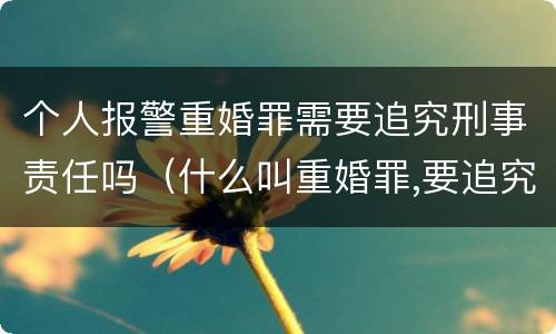 个人报警重婚罪需要追究刑事责任吗（什么叫重婚罪,要追究刑事责任?）