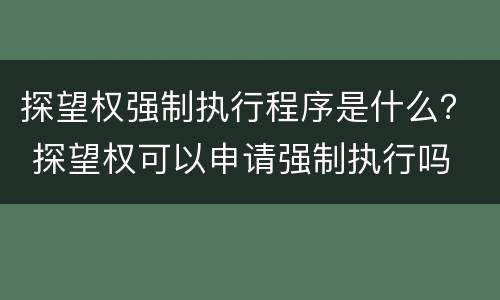 探望权强制执行程序是什么？ 探望权可以申请强制执行吗