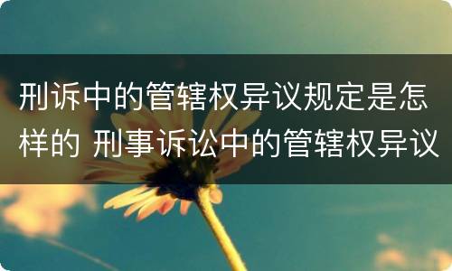 刑诉中的管辖权异议规定是怎样的 刑事诉讼中的管辖权异议