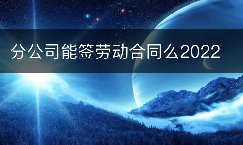 分公司能签劳动合同么2022