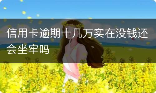 信用卡逾期十几万实在没钱还会坐牢吗