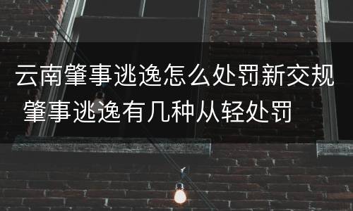 云南肇事逃逸怎么处罚新交规 肇事逃逸有几种从轻处罚