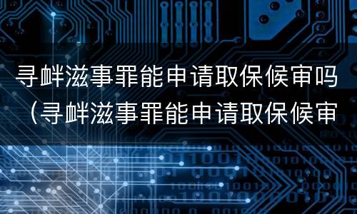 寻衅滋事罪能申请取保候审吗（寻衅滋事罪能申请取保候审吗法院）