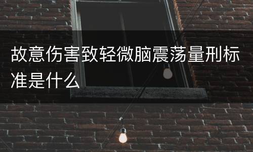 故意伤害致轻微脑震荡量刑标准是什么