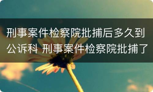 刑事案件检察院批捕后多久到公诉科 刑事案件检察院批捕了就判刑吗