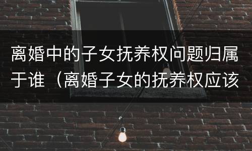 离婚中的子女抚养权问题归属于谁（离婚子女的抚养权应该归谁?）