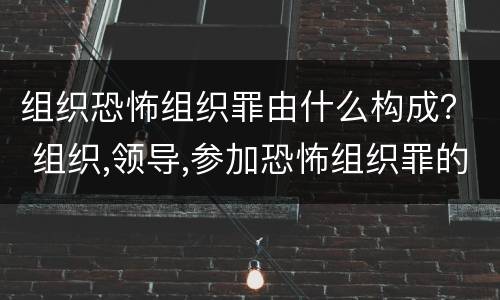 组织恐怖组织罪由什么构成？ 组织,领导,参加恐怖组织罪的构成要件