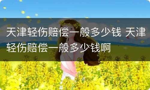 天津轻伤赔偿一般多少钱 天津轻伤赔偿一般多少钱啊