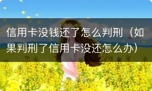 信用卡没钱还了怎么判刑（如果判刑了信用卡没还怎么办）