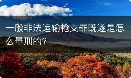 一般非法运输枪支罪既遂是怎么量刑的?