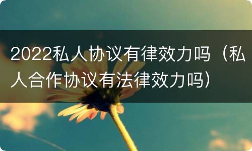 2022私人协议有律效力吗（私人合作协议有法律效力吗）
