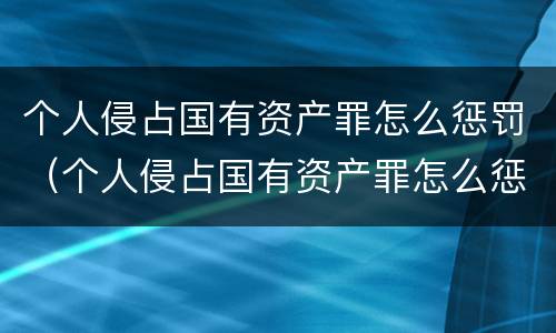 个人侵占国有资产罪怎么惩罚（个人侵占国有资产罪怎么惩罚对方）