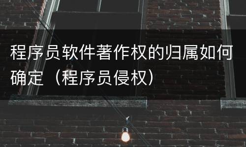 程序员软件著作权的归属如何确定（程序员侵权）