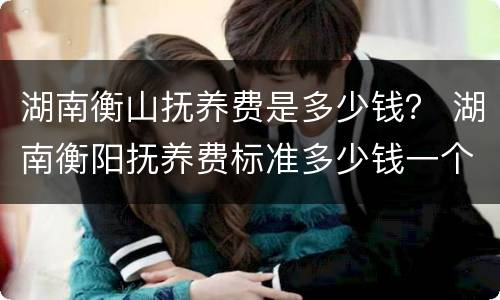 湖南衡山抚养费是多少钱？ 湖南衡阳抚养费标准多少钱一个月