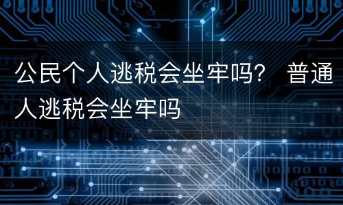 公民个人逃税会坐牢吗？ 普通人逃税会坐牢吗