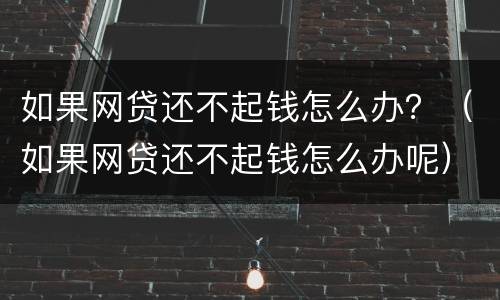 如果网贷还不起钱怎么办？（如果网贷还不起钱怎么办呢）