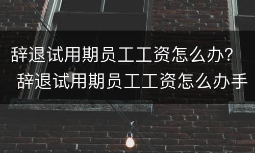 辞退试用期员工工资怎么办？ 辞退试用期员工工资怎么办手续