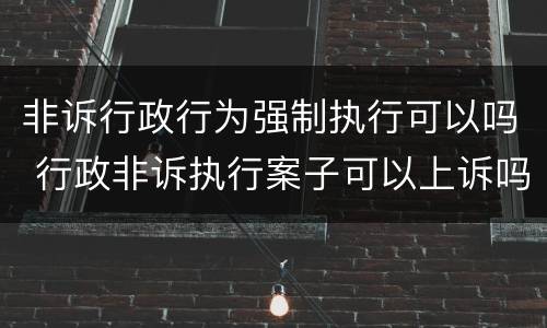 非诉行政行为强制执行可以吗 行政非诉执行案子可以上诉吗