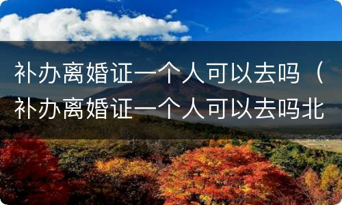 补办离婚证一个人可以去吗（补办离婚证一个人可以去吗北京）