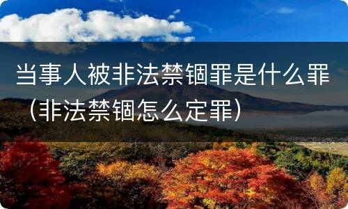 当事人被非法禁锢罪是什么罪（非法禁锢怎么定罪）