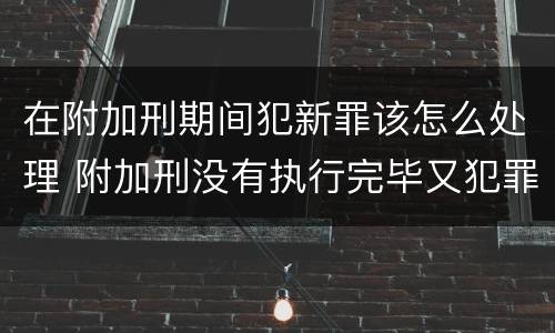 在附加刑期间犯新罪该怎么处理 附加刑没有执行完毕又犯罪是否构成累犯