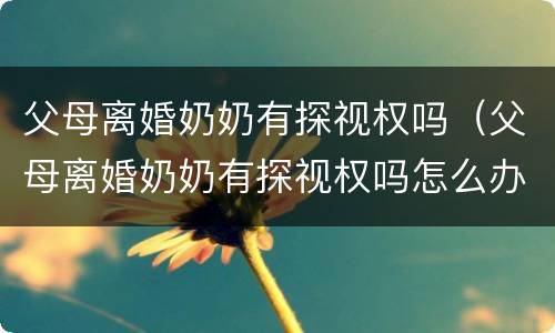 父母离婚奶奶有探视权吗（父母离婚奶奶有探视权吗怎么办）