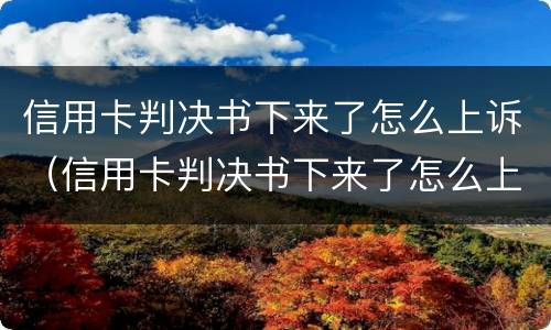 信用卡判决书下来了怎么上诉（信用卡判决书下来了怎么上诉?）