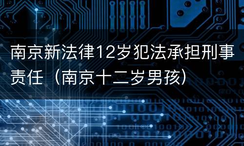 南京新法律12岁犯法承担刑事责任（南京十二岁男孩）