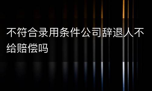 不符合录用条件公司辞退人不给赔偿吗