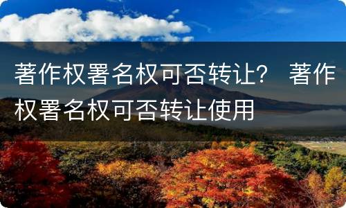 著作权署名权可否转让？ 著作权署名权可否转让使用