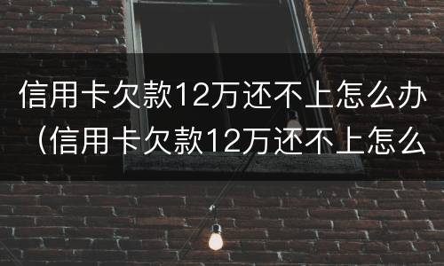 信用卡欠款12万还不上怎么办（信用卡欠款12万还不上怎么办呢）
