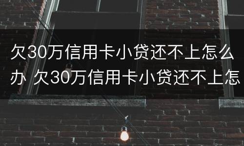 欠30万信用卡小贷还不上怎么办 欠30万信用卡小贷还不上怎么办呀