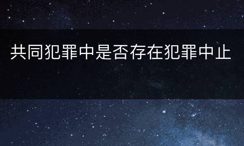 共同犯罪中是否存在犯罪中止