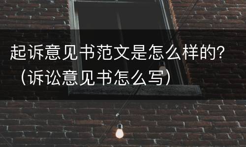 起诉意见书范文是怎么样的？（诉讼意见书怎么写）